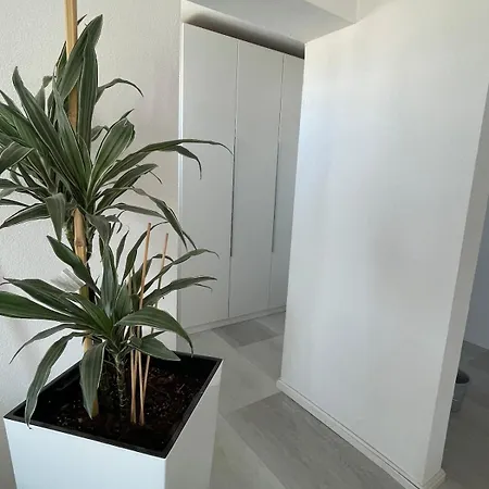 Mit Seeblick, Toplage Stadtblick, Shopping & 1 Minute Zum Bodensee 프리드리히스하펜